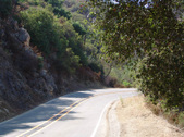Enlarge photo 48