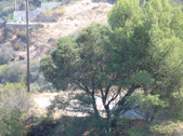 Enlarge photo 51