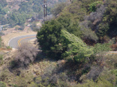 Enlarge photo 55