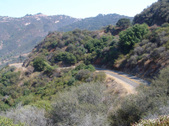 Enlarge photo 57