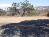 Enlarge photo 77