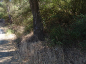 Enlarge photo 79