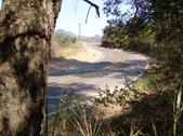 Enlarge photo 80
