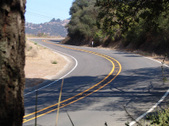 Enlarge photo 81