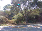 Enlarge photo 83