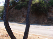 Enlarge photo 86