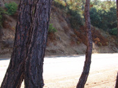 Enlarge photo 87
