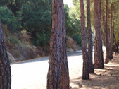 Enlarge photo 89