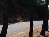 Enlarge photo 90