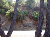Enlarge photo 91