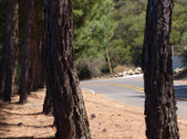 Enlarge photo 92