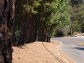 Enlarge photo 95