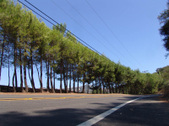 Enlarge photo 96