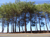 Enlarge photo 84