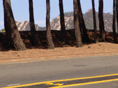 Enlarge photo 99