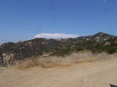 Enlarge photo 101