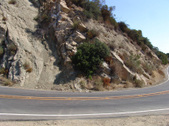 Enlarge photo 103