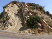 Enlarge photo 105
