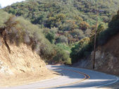 Enlarge photo 16