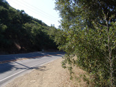 Enlarge photo 28