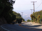 Enlarge photo 35