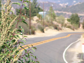 Enlarge photo 44