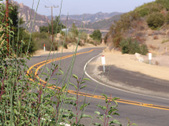 Enlarge photo 45