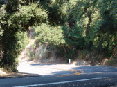 Enlarge photo 47