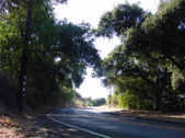 Enlarge photo 48