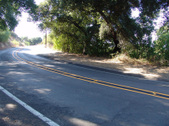 Enlarge photo 49