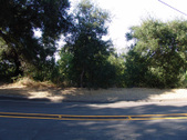 Enlarge photo 50