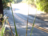 Enlarge photo 51