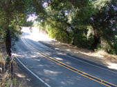 Enlarge photo 52