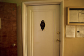 Enlarge photo 47