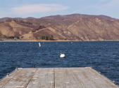 Enlarge photo 29