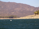 Enlarge photo 35