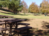 Enlarge photo 41