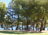 Enlarge photo 44