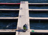 Enlarge photo 35