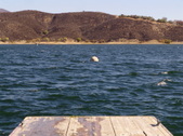 Enlarge photo 53