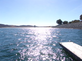 Enlarge photo 57