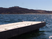 Enlarge photo 64