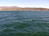 Enlarge photo 66