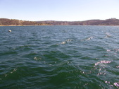 Enlarge photo 67