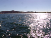 Enlarge photo 68
