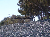 Enlarge photo 69