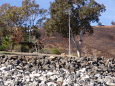 Enlarge photo 71