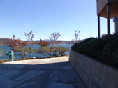 Enlarge photo 76