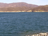 Enlarge photo 89