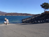 Enlarge photo 95